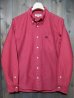 画像1: STUDIO D'ARTISAN L/S BUTTON-DOWN SHIRT 5435 (RED) (1)