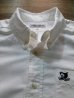 画像3: STUDIO D'ARTISAN S/S BUTTON-DOWN SHIRT 5432 (WHITE)
