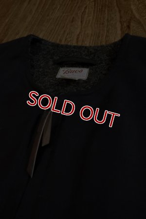 画像9: BUCO BUCO'S RACING VEST BJ13103