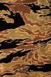 画像11: THE REAL McCOY'S TIGER SHORTS MP17003