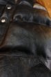 画像14: JOE McCOY MOUTON COLLAR HORSEHIDE DOWN VEST MJ17123