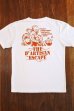 画像4: STUDIO D'ARTISAN USA COTTON T-SHIRT 9905B