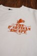 画像6: STUDIO D'ARTISAN USA COTTON T-SHIRT 9905B