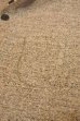 画像7: ORGUEIL OR-9013 Henry T-SHIRT BROWN