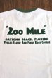 画像4: JOE McCOY TEE / DAYTONA MC23026