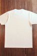 画像3: THE REAL McCOY'S MILITARY TEE / THE BLUE GHOST MC24010 (3)