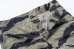 画像3: THE REAL McCOY'S  TIGER CAMOUFLAGE SHORTS / TADPOLE MP25004