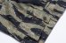 画像4: THE REAL McCOY'S  TIGER CAMOUFLAGE SHORTS / TADPOLE MP25004