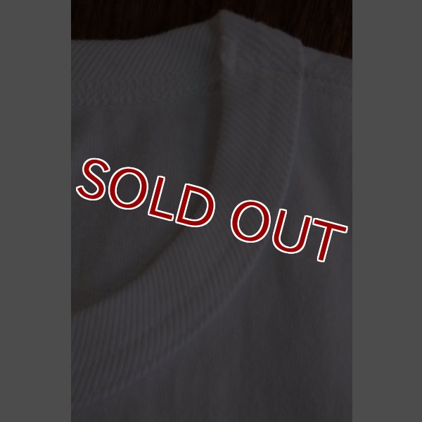 画像6: BUCO TEE / SAFETY BC16004 (6)